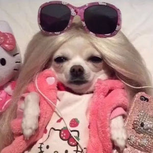 Meet your Posher, Emma